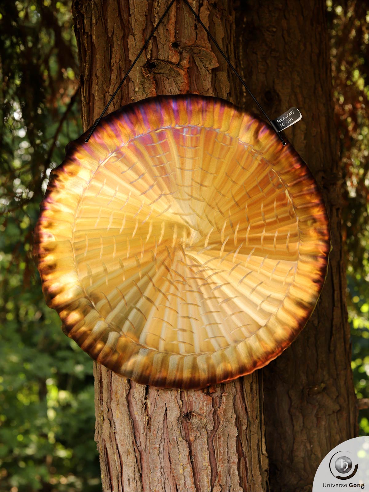  Handheld Gong / Aura Gong 1.80 kg / 3.97 lb