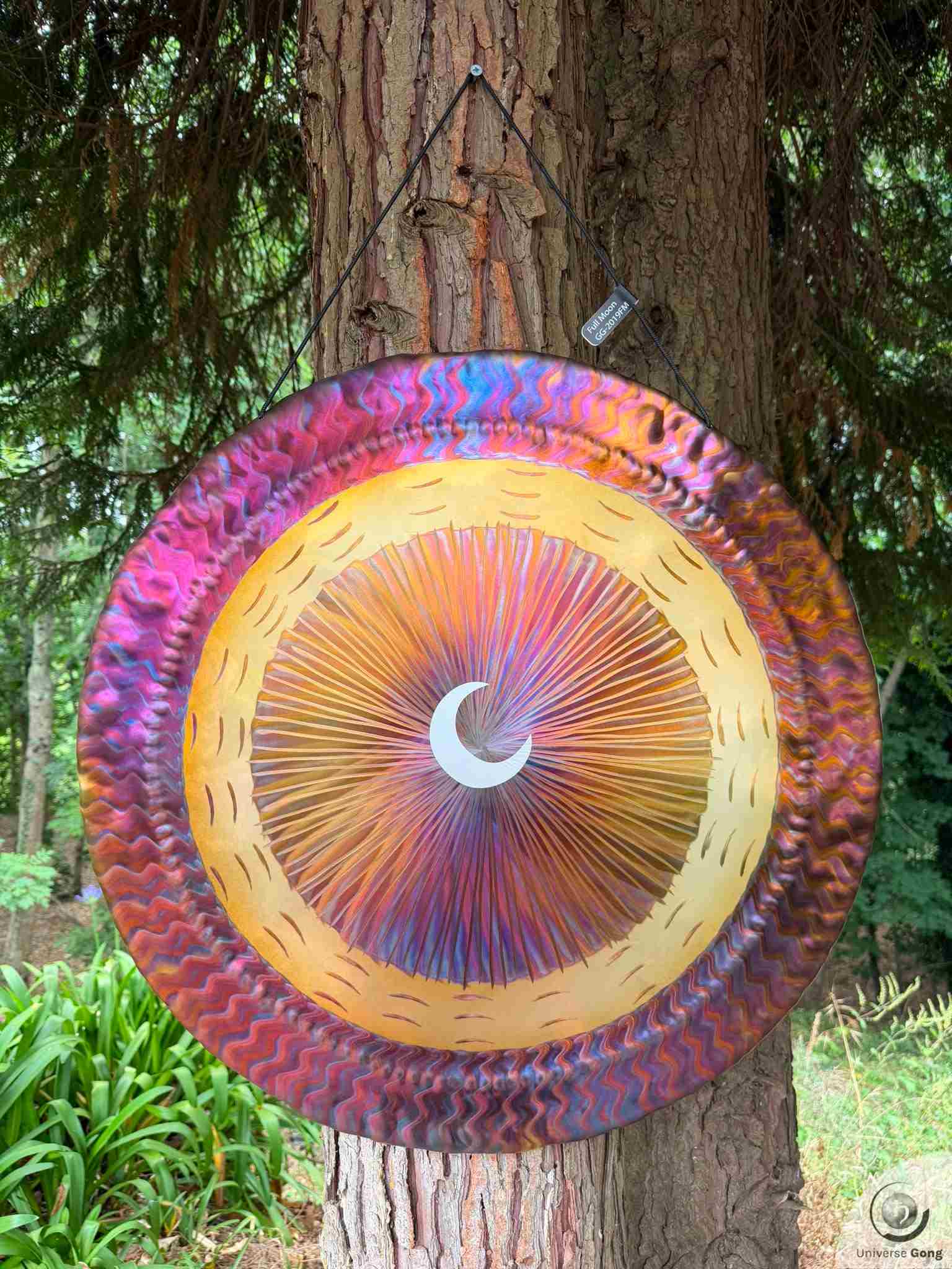 Planetary Gong Full Moon 3.40 kg / 7.50 lb