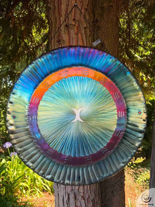 Planetary Gong Nibiru 4.70 kg / 10.36 lb