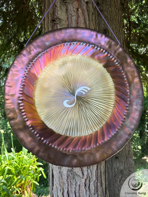 Planetary Gong Sedna 2.60 kg / 5.73 lb
