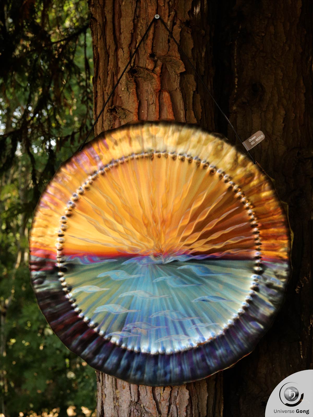  Ocean Gong 2.60 kg / 5.73 lb