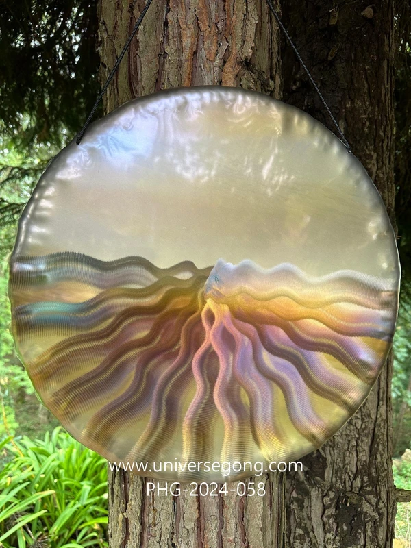  Handheld Gong / Panorama 1.80 kg / 3.97 lb