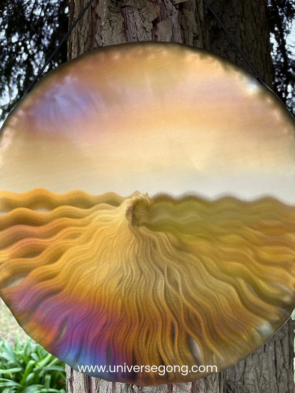  Handheld Gong / Panorama 1.80 kg / 3.97 lb