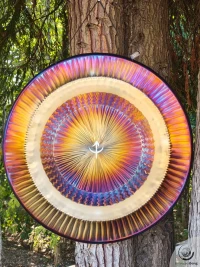Planetary Gong Neptune 7.91 kg / 17.42 lb