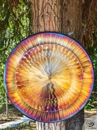 Planetary Gong Nibiru 6.60 kg / 14.55 lb