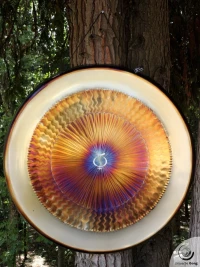 Planetary Gong Mercury 7.91 kg / 17.42 lb