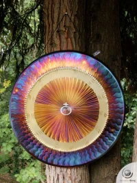 Planetary Gong Earth 4.70 kg / 10.36 lb
