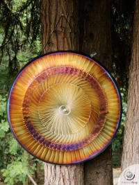 Planetary Gong Sun 6.60 kg / 14.55 lb