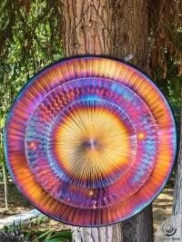 Planetary Gong Sun 7.91 kg / 17.42 lb