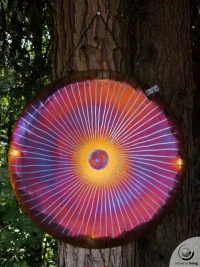 Wind Gong 2.60 kg / 5.73 lb